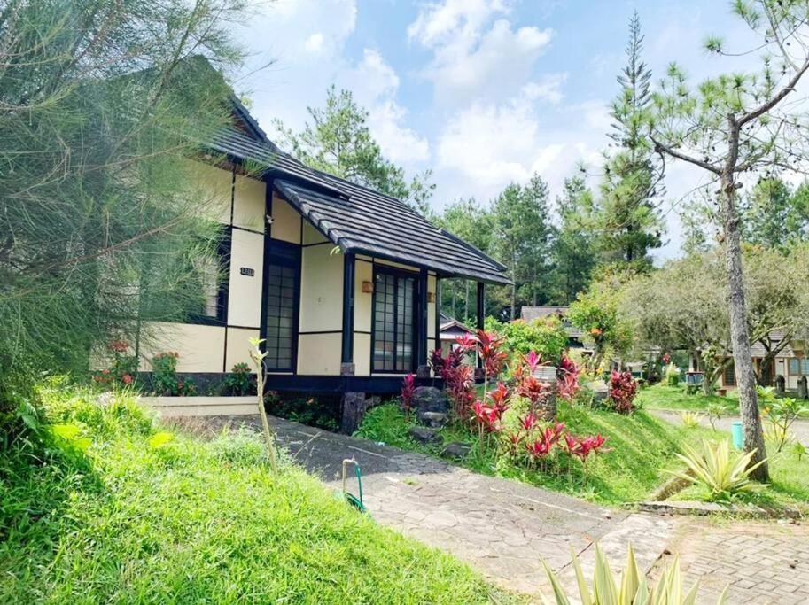 סיאנג'ור Designer Villa Tokyo מראה חיצוני תמונה